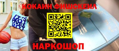 крисы Моздок