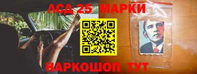 крисы Моздок