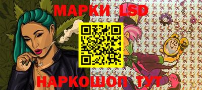 крисы Моздок