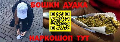крисы Моздок