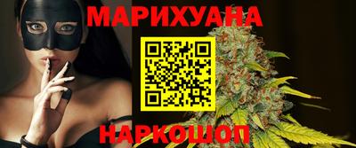 крисы Моздок