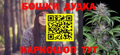 крисы Моздок