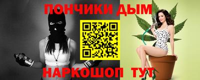 крисы Моздок