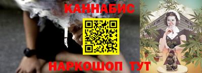 крисы Моздок