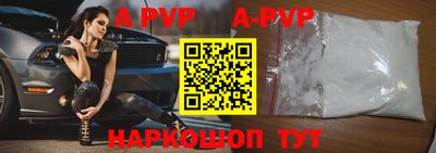 крисы Моздок