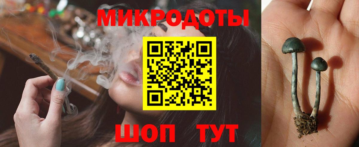 Сызрань  Псилоцибиновые грибы MAGIC MUSHROOMS  цены наркотик  Псилоцибиновые грибы ЛСД  Вход с VPN 